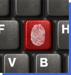 Fraud Investigations